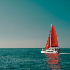 WordPress Project - Website for Vega Yacht